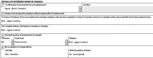 Details of intended work screenshot for spouse or partner work permit