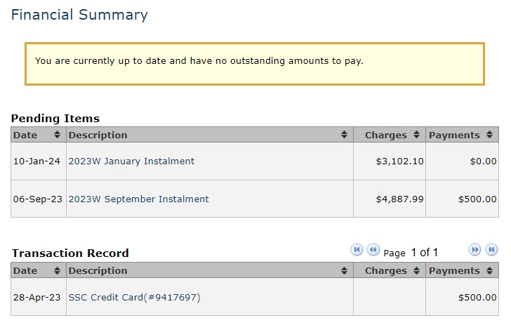 Screenshot of Financial Summary section of SSC