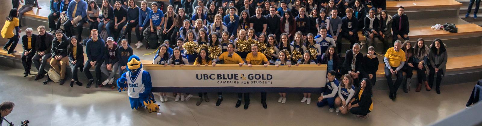 Blue and Gold campaign announcement