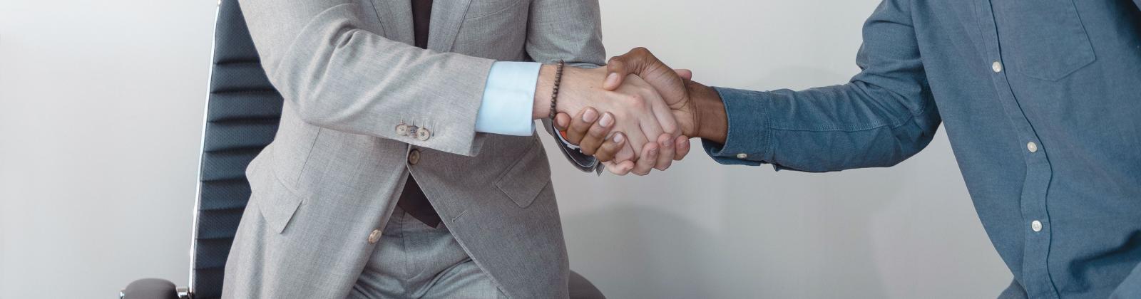Two people engaging in a handshake