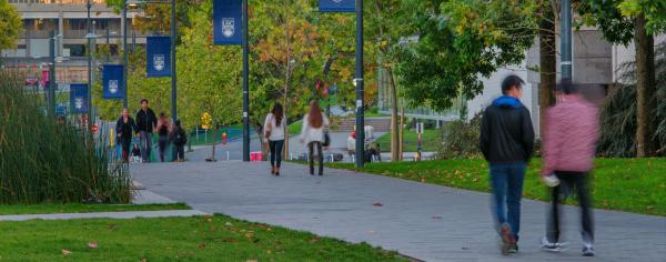 UBC students walking across UBC campus with fading light