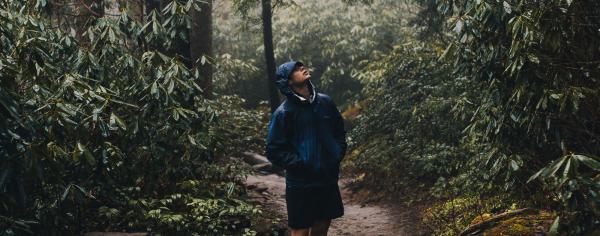 A student hiking in the forest, enthralled by the trees
