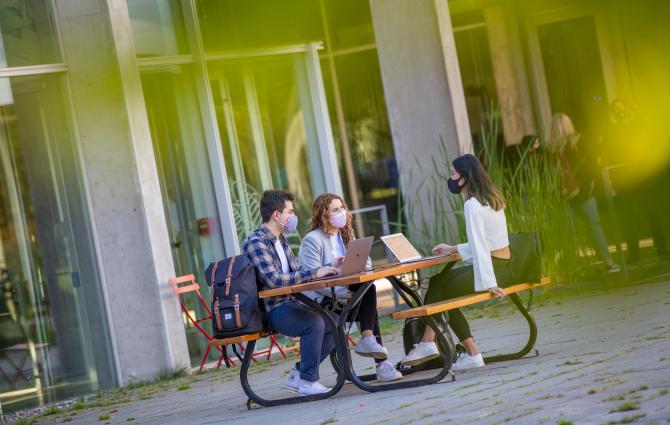 Student studying outside on campus