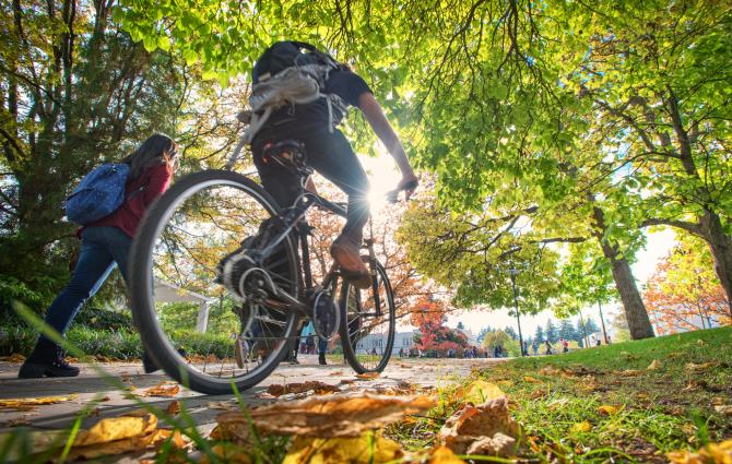 A student cycling beneath trees on campus at UBC