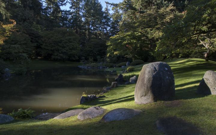 A photograph of a pond in Nitobe Gardens.