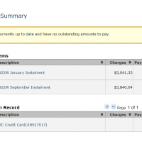 Screenshot of Financial Summary section of SSC