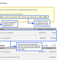 Screenshot of sample Financial Summary section of SSC