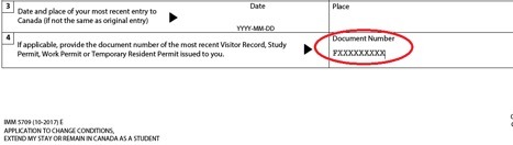 Screenshot of the "document number" section on the application form to extend your study permit