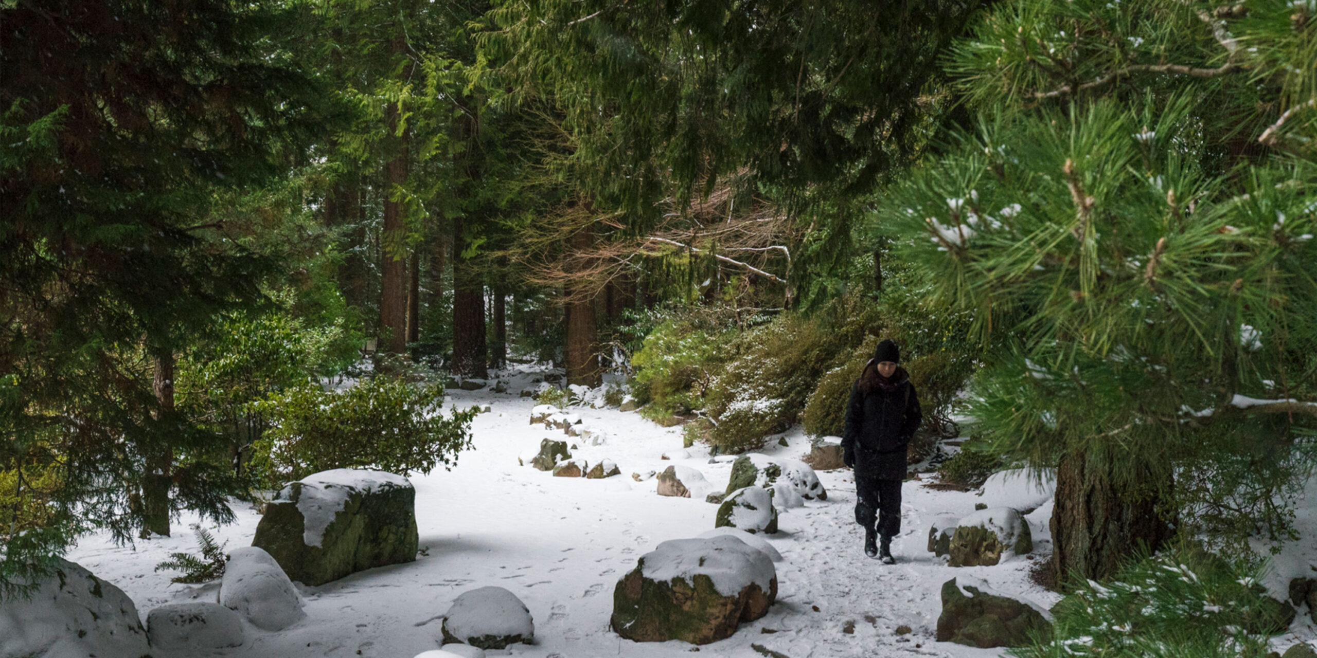 news and announcements winter hours rev a