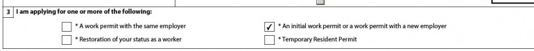 Screenshot of the "Type" section on the spouse or partner work permit application form