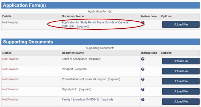 Screenshot of the application form to download in your iRCC online account