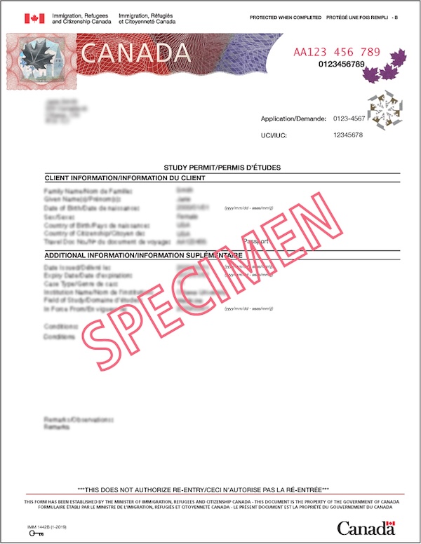 Screenshot of a sample study permit