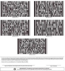 Screenshot of the barcode required to validate your TRV application